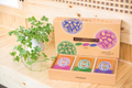 Oriental Dry Herb
